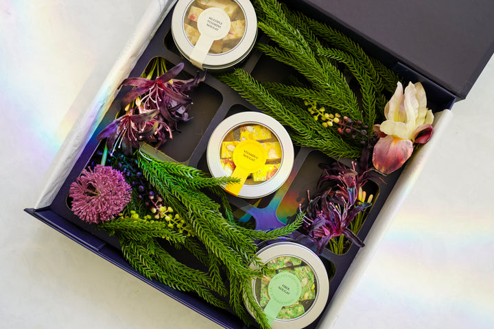 The Evergreen Box