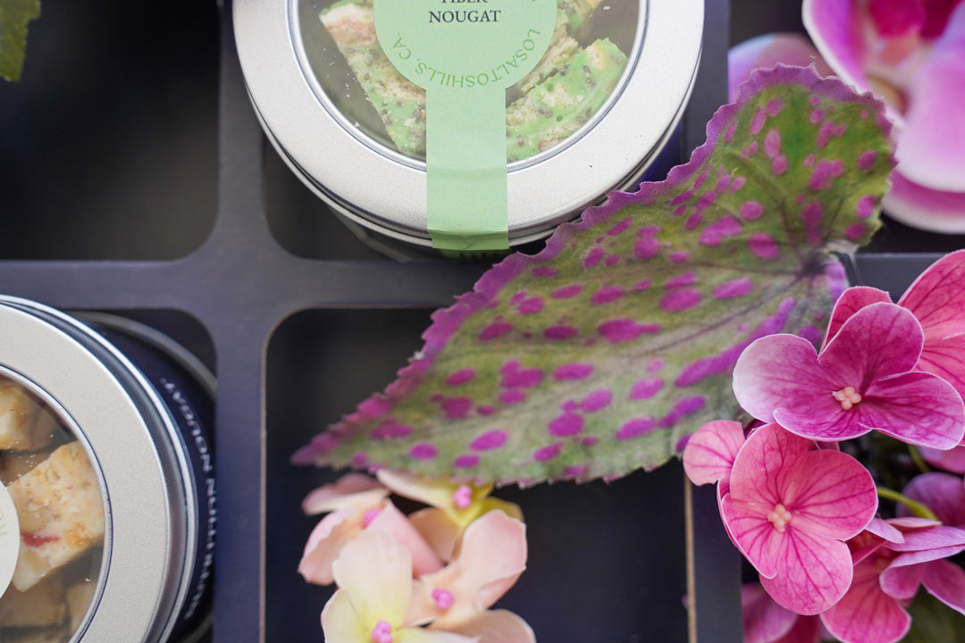 The Blossom Collection Box